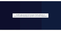 38525838131385 13.webp