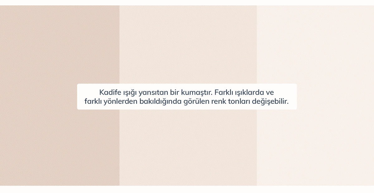 38525843636409 12.webp