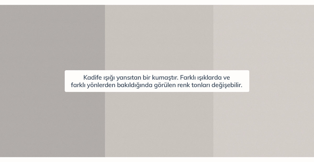 38525853434041 12.webp