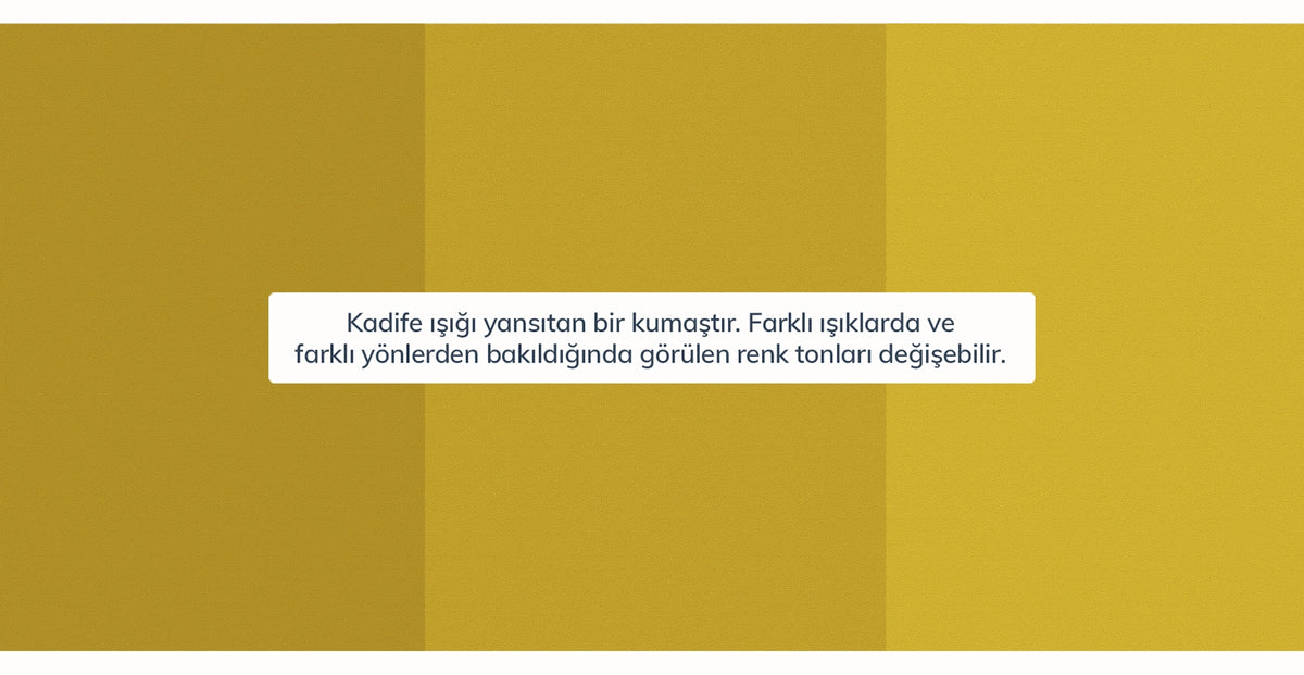 40076174721209 8.webp