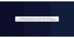 40076187861177 12.webp