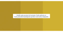 42016769048818 10.webp