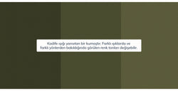 42567908163826 5.webp