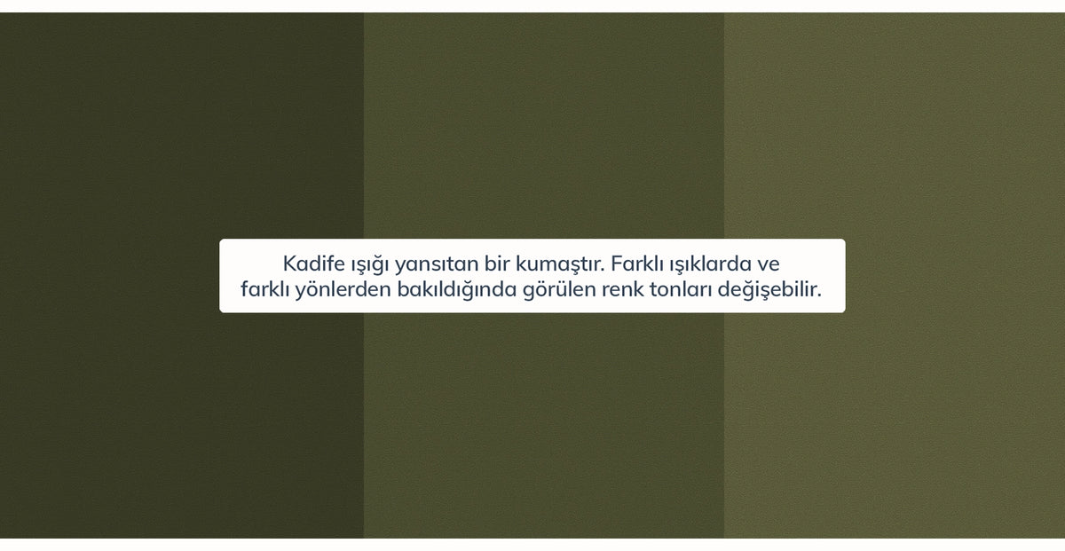 42582631219442 15.webp