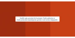 42582697672946 12.webp