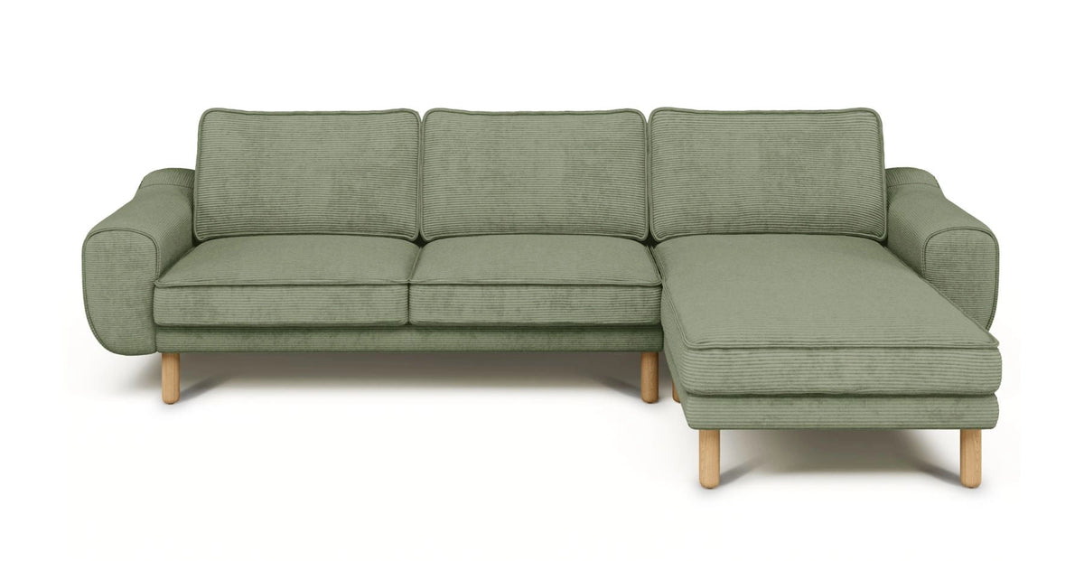 43056459579634 1.webp