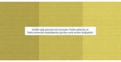 43056557981938 3.webp