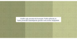 43056652779762 11.webp