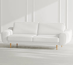 43056674799858 6.webp