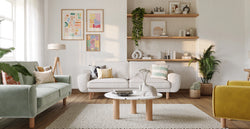 43056682434802 3.webp