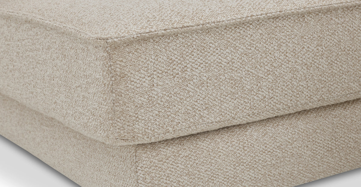 43238194315506 12.webp