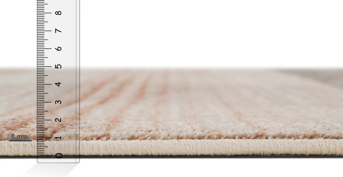 43330321318130 4.webp