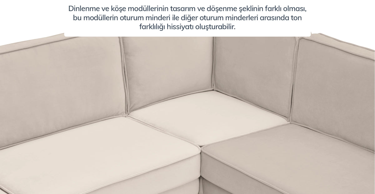 44406977102066 15.webp