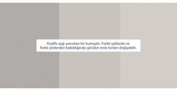 44578579742962 10.webp