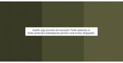 44608798097650 5.webp