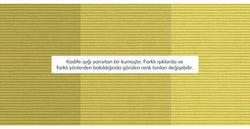 44608804651250 14.webp