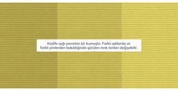 Polen Sarı - 14