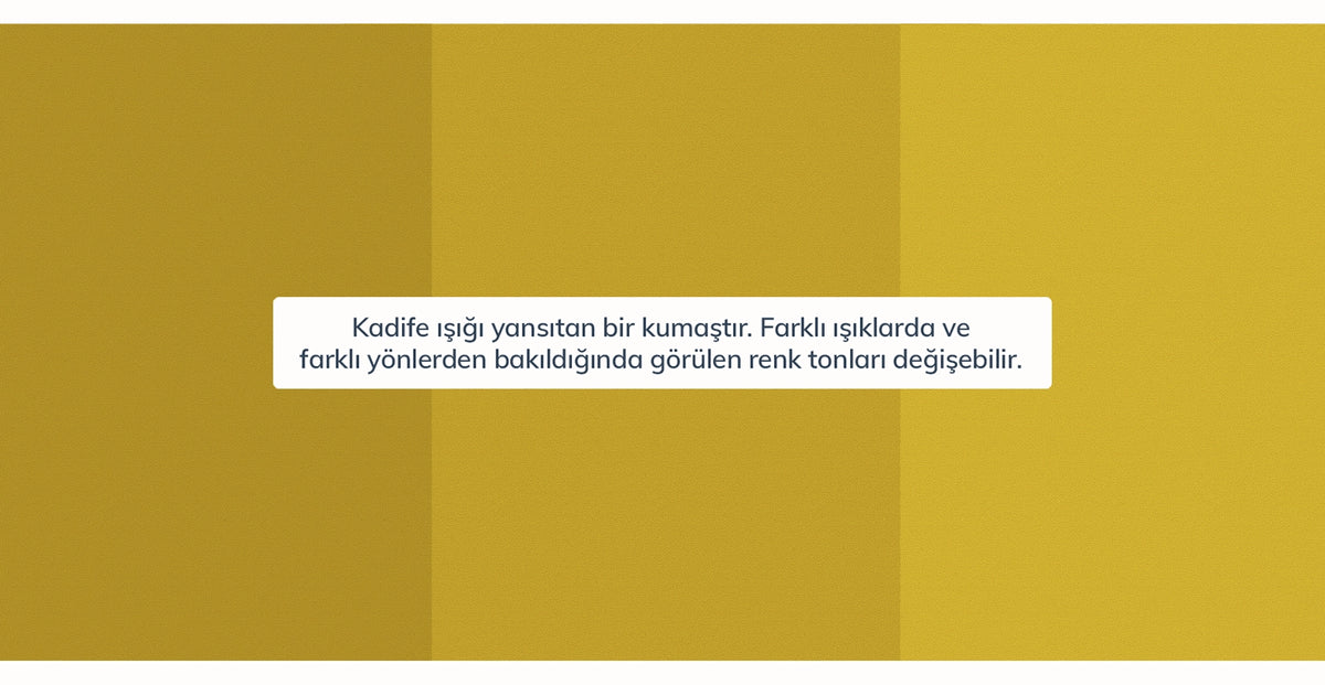 44608815759602 15.webp