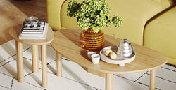 44632808751346 2.webp