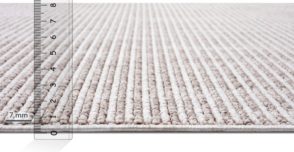 45098350936306 4.webp