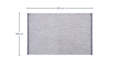 45098351067378 4.webp