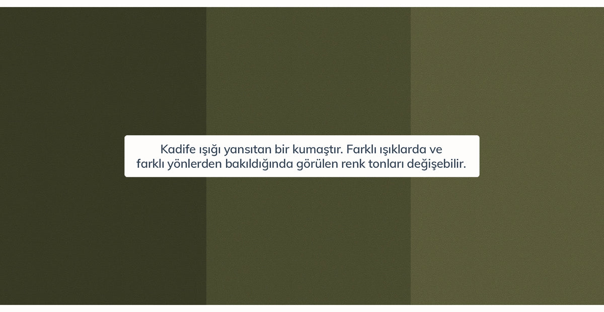 45195681988850 7.webp