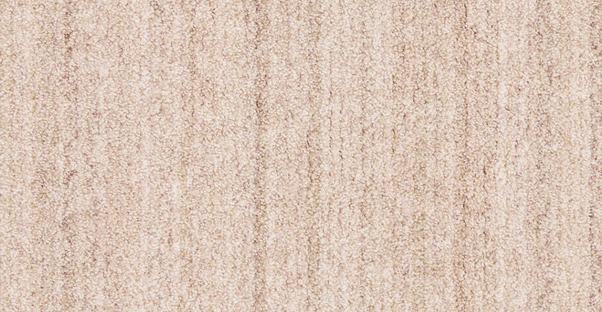 51703787028847 7.webp