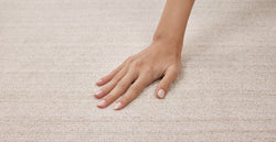 51703787159919 2.webp