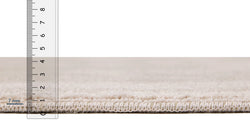 51703787159919 5.webp