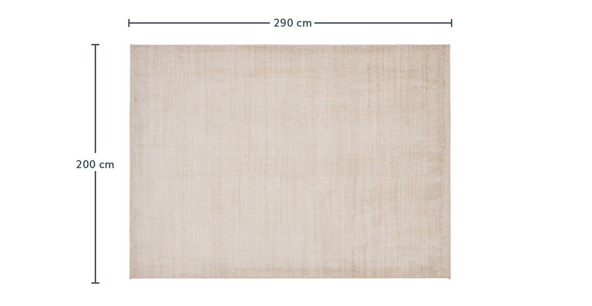 51703787159919 6.webp