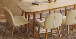 52121677037935 5.webp