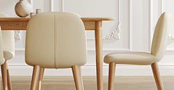 52121681559919 6.webp