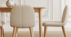 52121681920367 6.webp