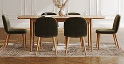 52121686704495 3.webp