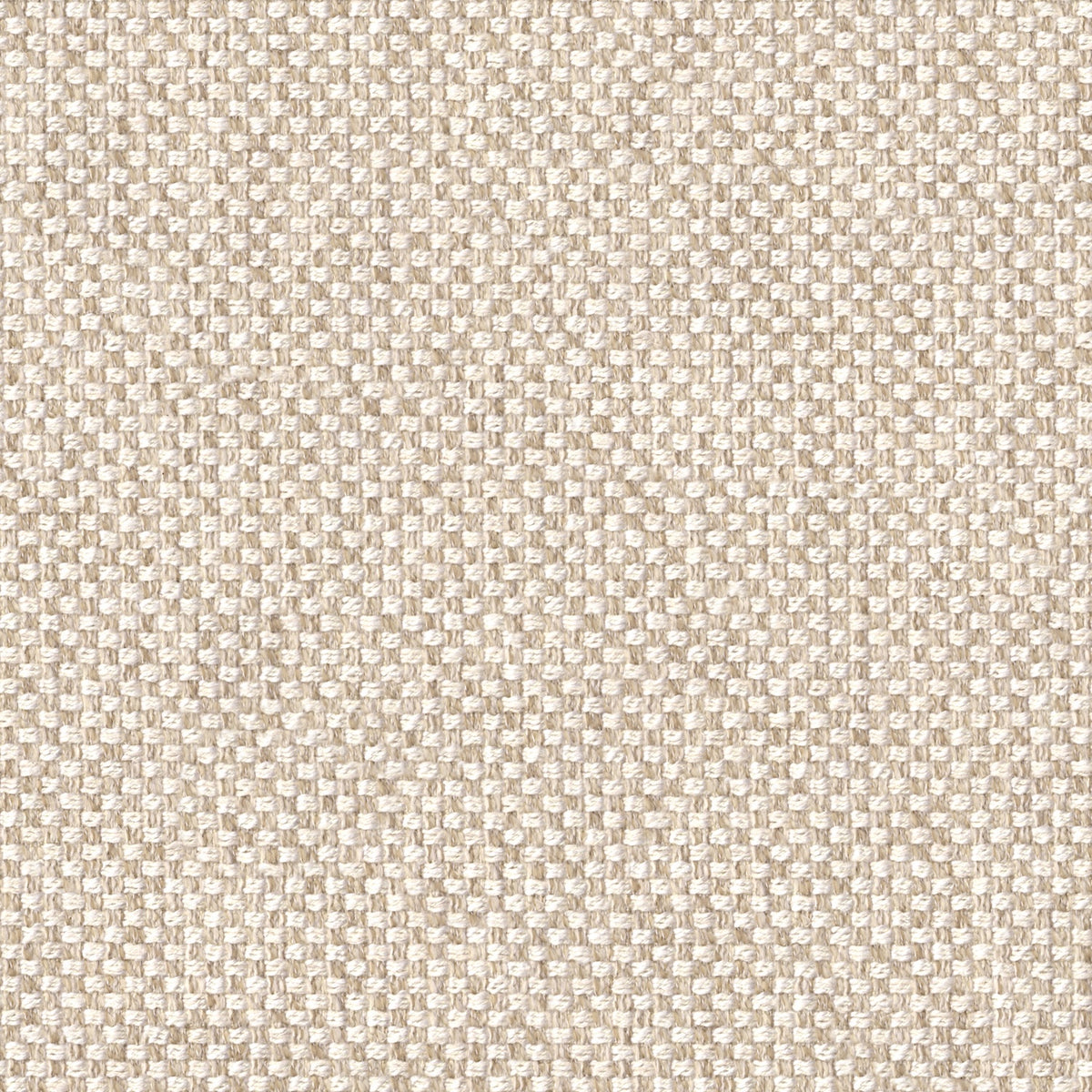 Fildişi - Açık - 4