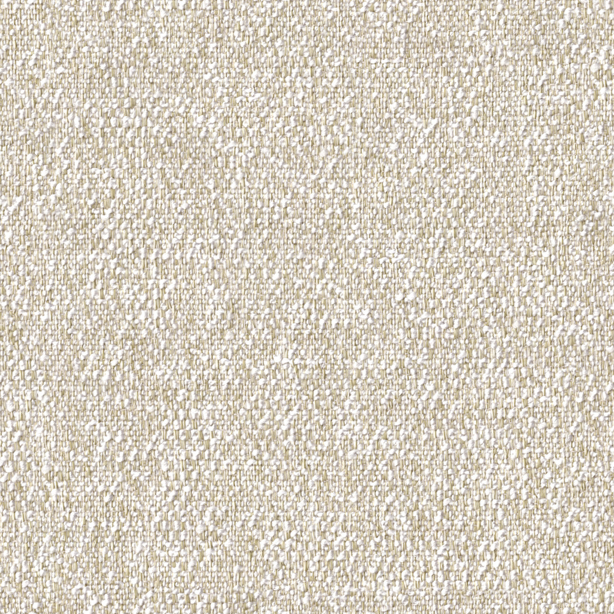 Deniz Köpüğü - Açık - 7