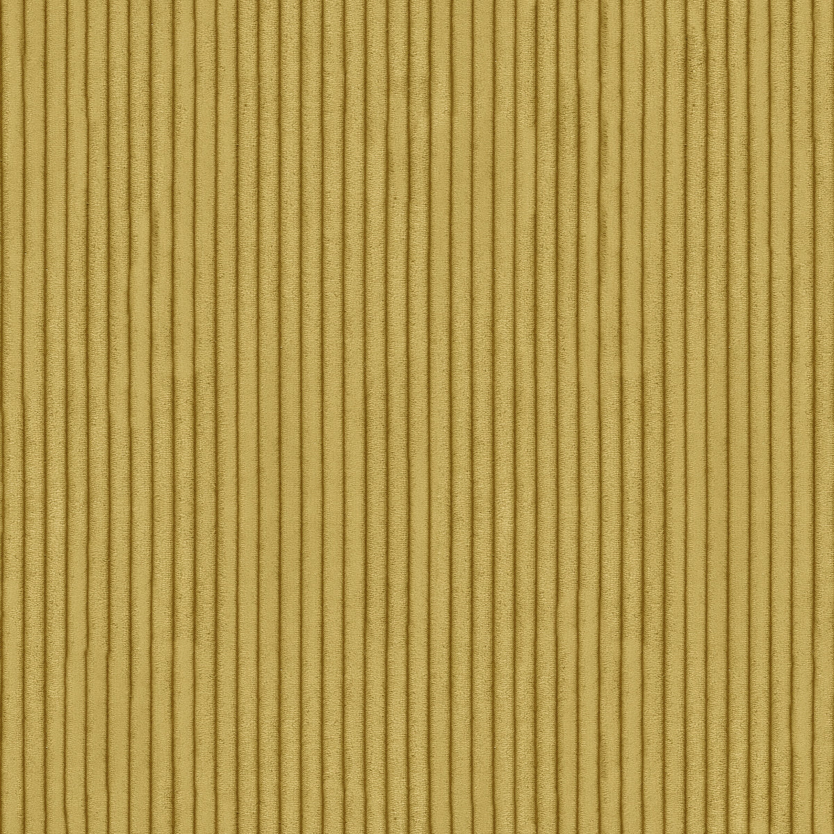 Polen Sarı - Açık - 4