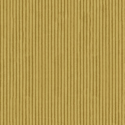 Polen Sarı - Açık - 4