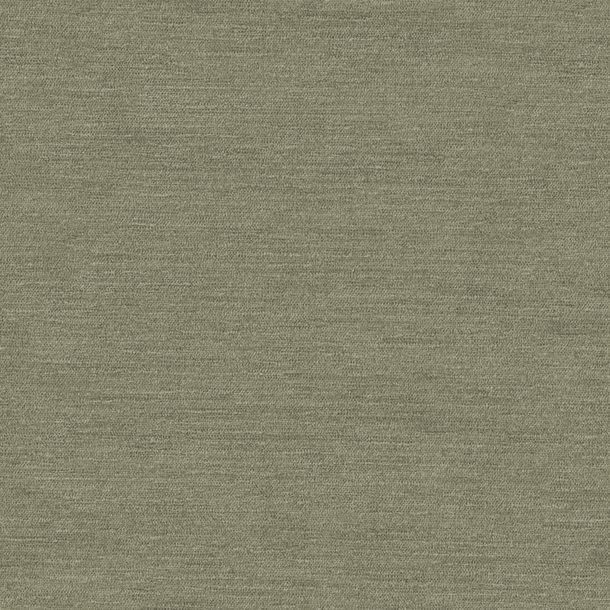 Ada Çayı - Koyu - 4