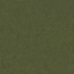 Haki - Açık - 4
