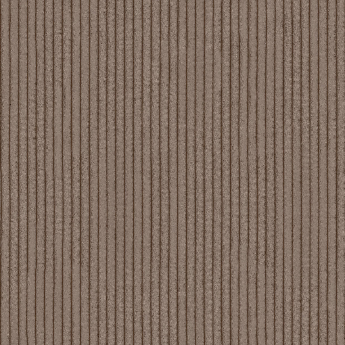 Sütlü Kahve - Açık - Rahat Dolgu - 4