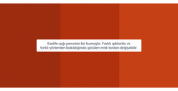 Carle Koltuk Destek Minder - Kadife